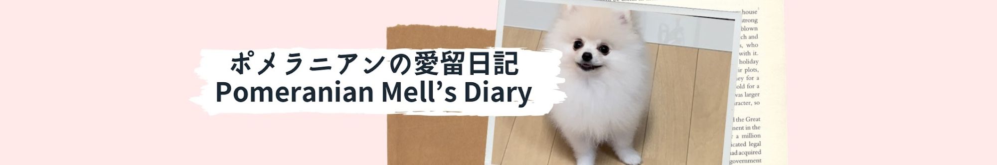 ポメラニアンの愛留日記　Pomeranian Mell's Diary