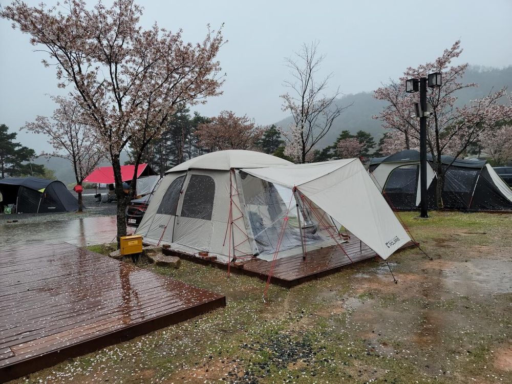 雨キャンプを極める：雨の日のキャンプを楽しむための究極のガイドの画像