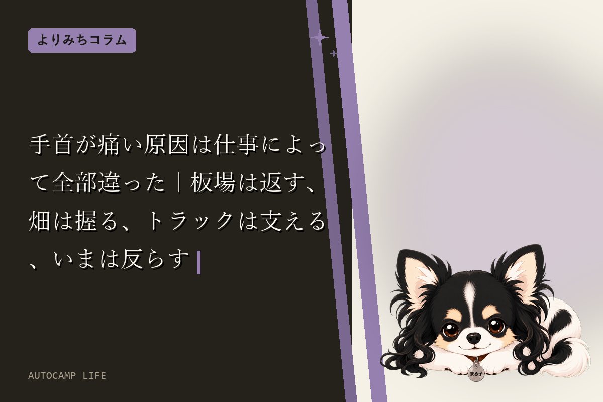 手首が痛い原因は仕事によって全部違った｜板場は返す、畑は握る、トラックは支える、いまは反らす