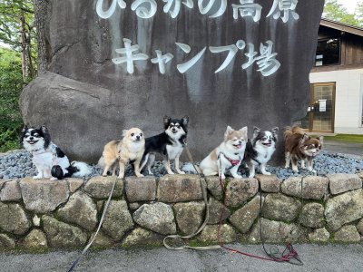 ひるがの高原キャンプ場での滞在の様子