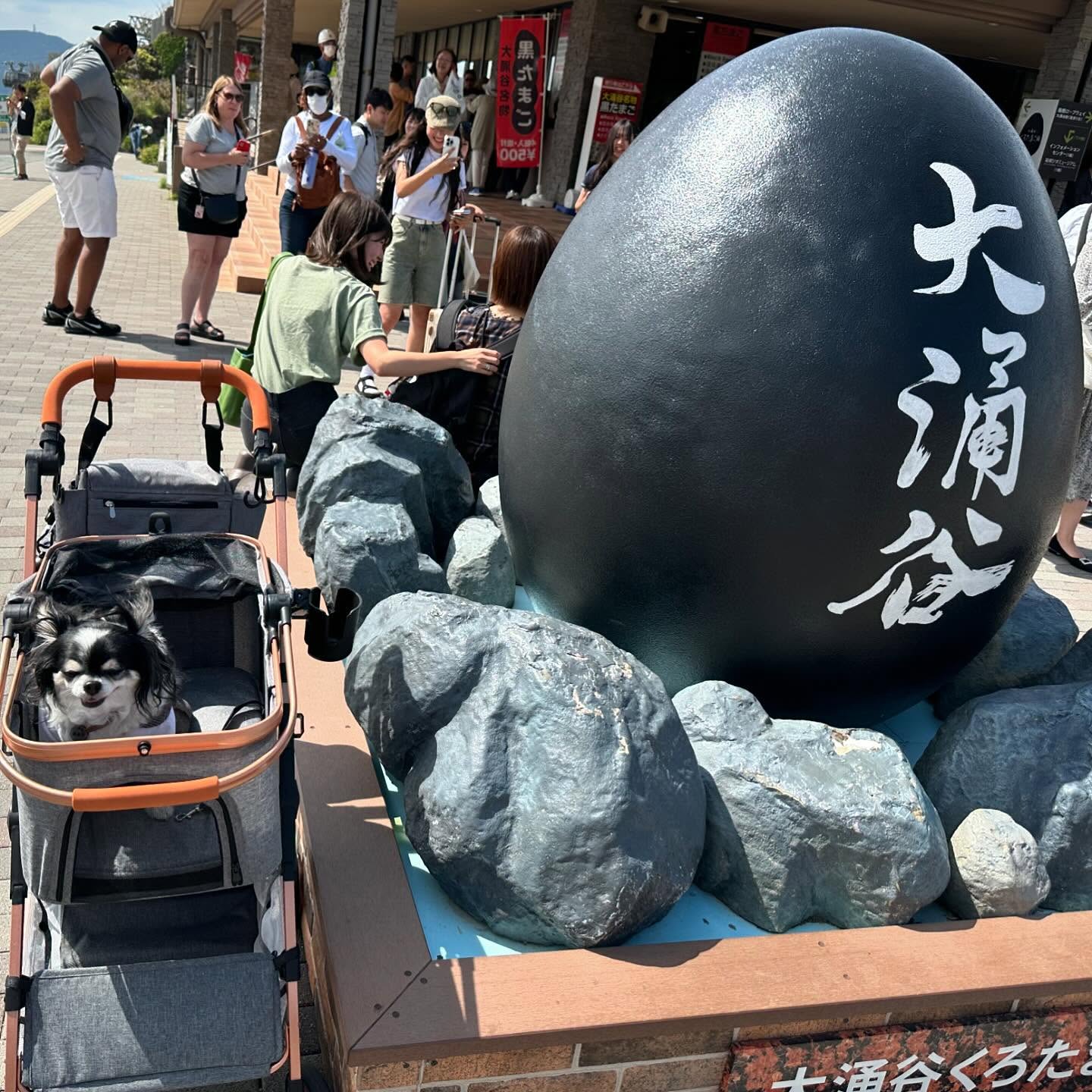 箱根旅パート2。リベンジの大涌谷