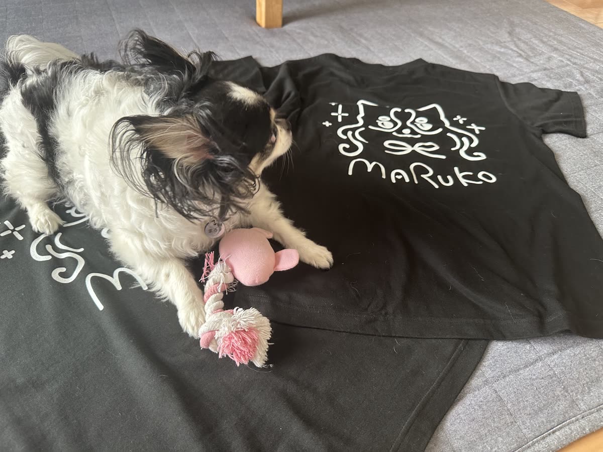 Tシャツの上でおもちゃと一緒にくつろぐまる子