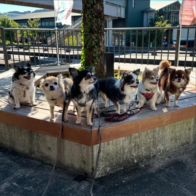 グリーンヴィレッジ川根