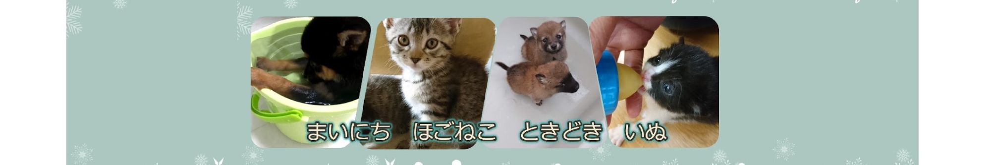 にゃんちゅうばぁCatTuber